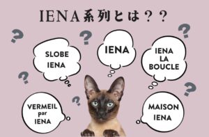 イエナ系列、5つのブランドラインの違いを徹底解剖【IENA？SLOBE？】