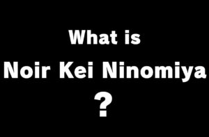 Noir Kei Ninomiya ロマンティックな黒の世界｜ノワールケイニノミヤ
