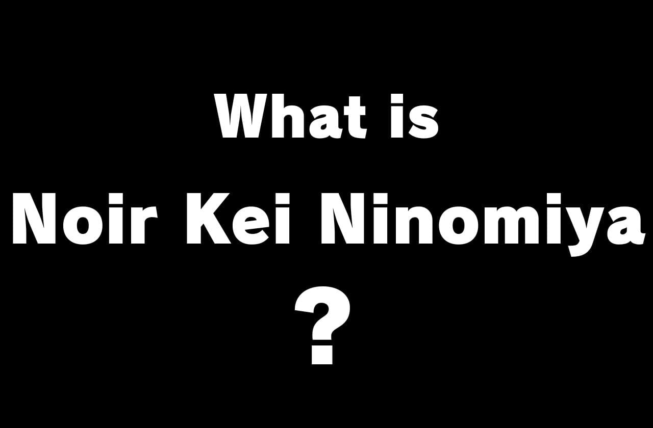 Noir Kei Ninomiya ロマンティックな黒の世界｜ノワールケイニノミヤ