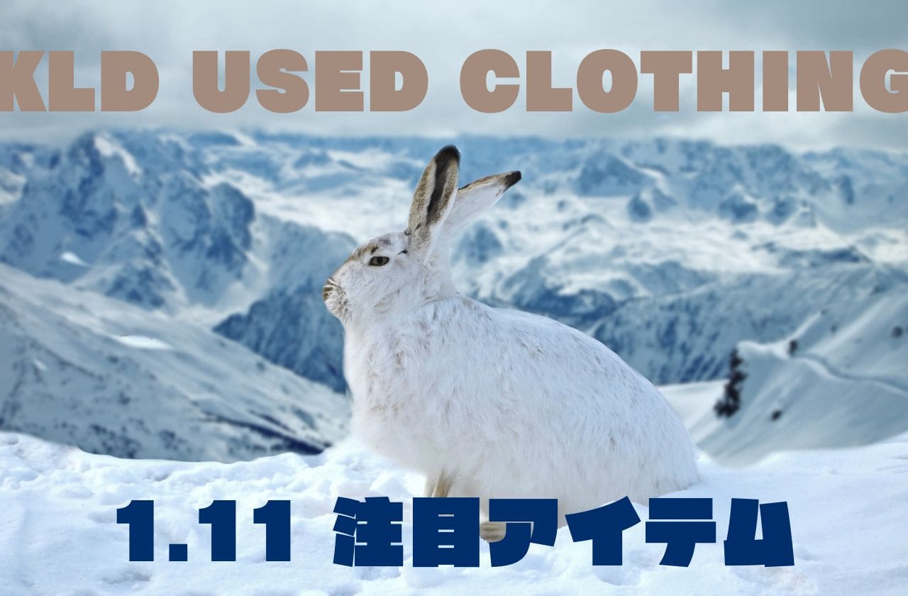 【KLD】1月11日発売の新商品